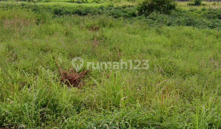 Bu Tanah Murah Kavling Bri Harga Bawah Njop di Blok B 1