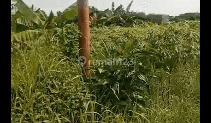 Bu Tanah Murah Kavling Bri Harga Bawah Njop di Blok B 4
