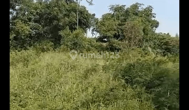 Tanah Kavling Bri 573 M2 Huk Dekat Grand Depok City 1