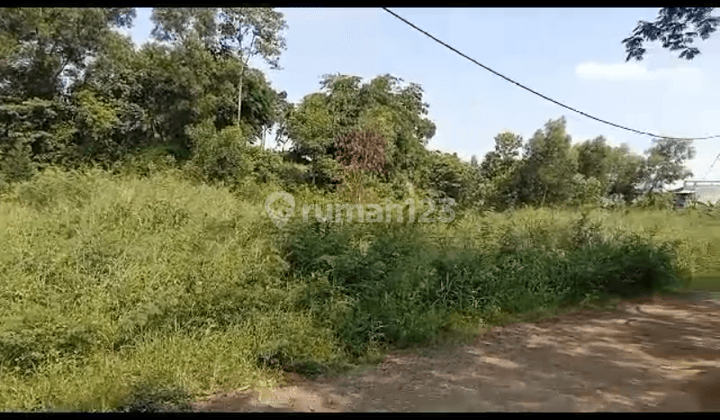 Tanah Kavling Bri 573 M2 Huk Dekat Grand Depok City 5