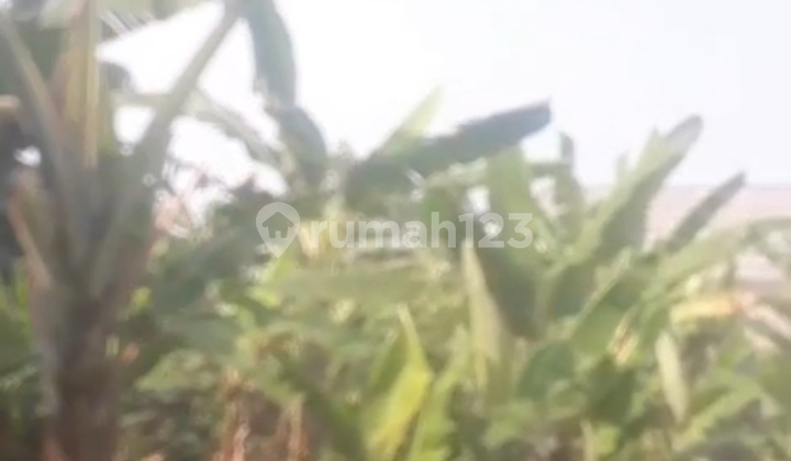 Land 45 m2 Motorcycle Access near Grand Depok City Land 45 m2 Motorcycle Access near Grand Depok City