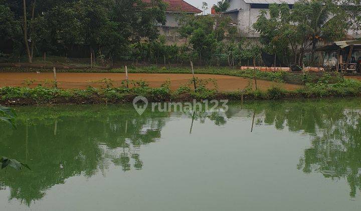 Dijual Tanah Empang Ciseeng Pinggir Jalan Luas 1600m2  2