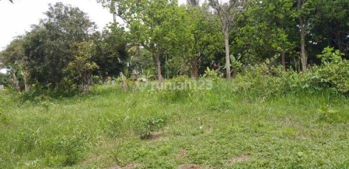 Dijual Tanah Gunung Sindur Kab Bogor Lt 7745m2 1