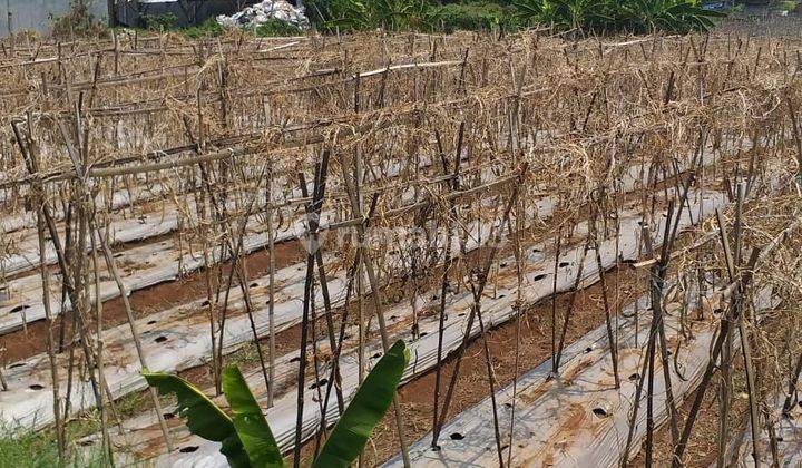 Bangunan Gudang 1500 m² Dan Lahan 5 Ha Jalan Batujajar Main Road  4