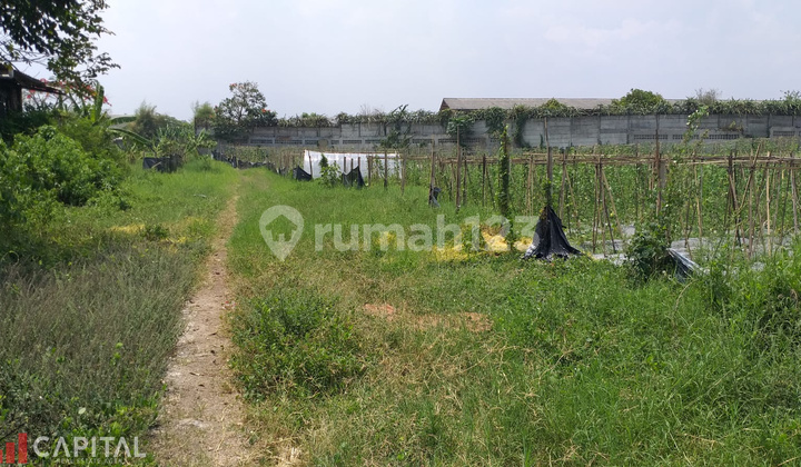 Bangunan Gudang 1500 m² Dan Lahan 5 Ha Jalan Batujajar Main Road  8