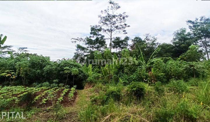 For Sale Batujajar Luas 1.7 Ha SHM 3 Sertifikat  4