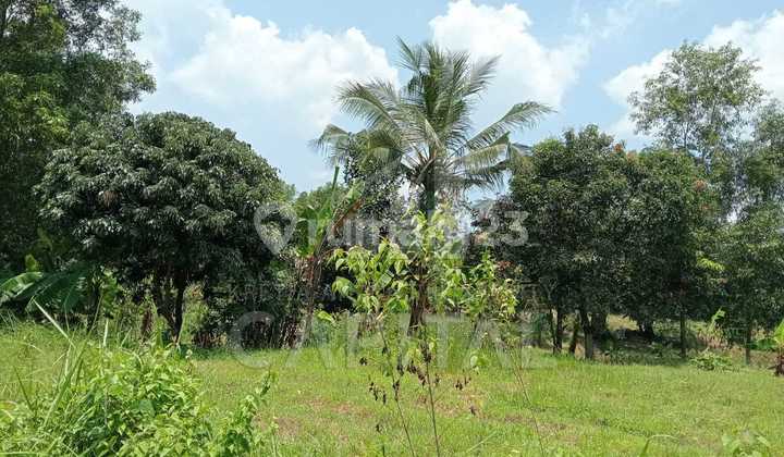 Dense Land Area in Subang Industrial Area