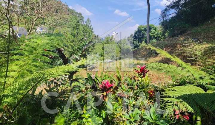 Tanah kavling Cocok Buat Villa Atau Rumah Tinggal di Cluster Daerah Dago Giri Tanah kavling Cocok Buat Villa Atau Rumah Tinggal di Cluster Daerah Dago Giri