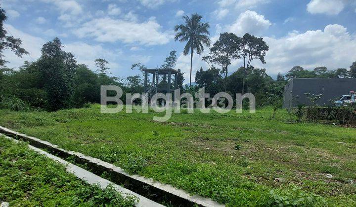 TANAH 1 HEKTARE MULYAHARJA BOGOR SELATAN DIBAWAH NJOP 2