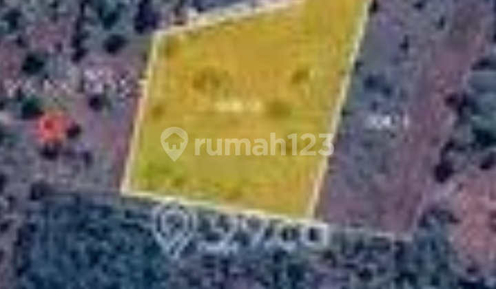 Jual Tanah Perkebunan Pemalang Jawa Tengah Jual Tanah Perkebunan Pemalang Jawa Tengah