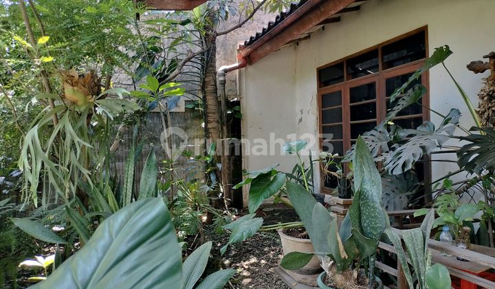 Rumah 2 Lantai Gunung Batu Banyak Ruang Taman Luas 2