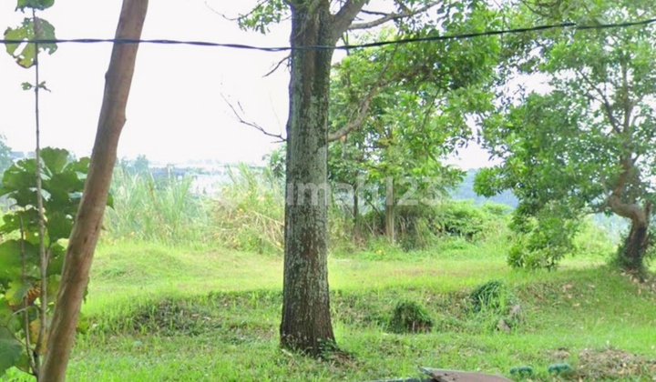 Selling Dago Land West-Facing Tourist Location