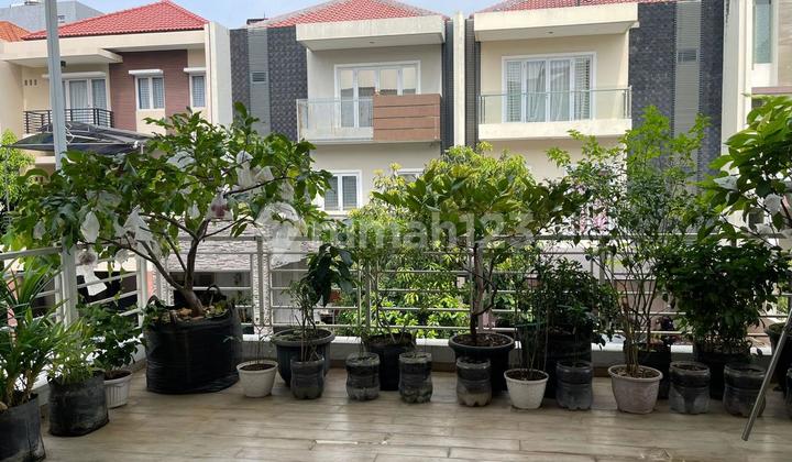 Dijual Rumah 3 Lantai Di Ancol Dijual Rumah 3 Lantai Di Ancol