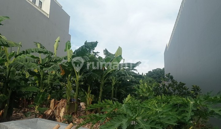 Dijual Lahan Area Menteng Area Strategis Jakarta Pusat Dijual Lahan Area Menteng Area Strategis Jakarta Pusat