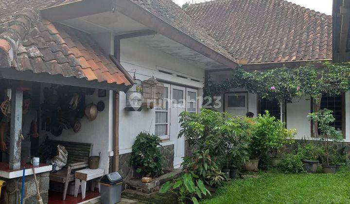 Rumah Belanda Mainroad jl. Riau, ngotak, cocok untuk usaha 1
