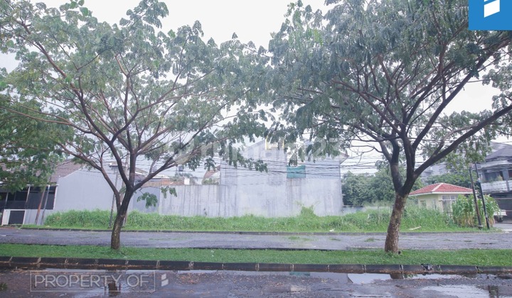 TANAH HOOK MEKAR WANGI!!! 