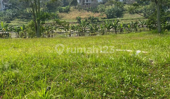 Land KBP pocket shape around 8 million.