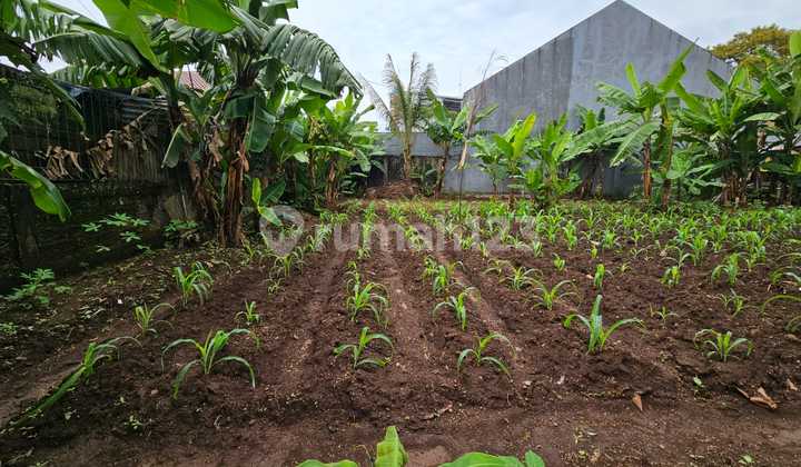 Kavling Jl Sutami Banting Harga