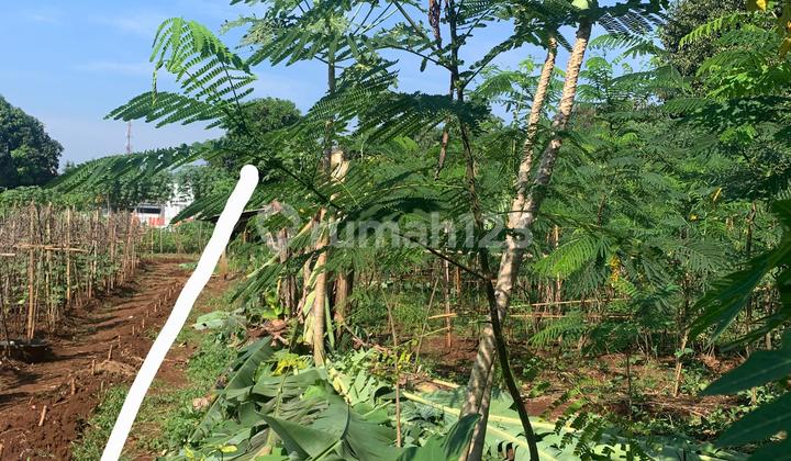 Kavling Mainroad Ciseureuh Purwakarta