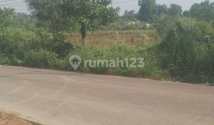 Tanah 3114 m2 SHM Parung Panjang, Bogor Tanah 3114 m2 SHM Parung Panjang, Bogor