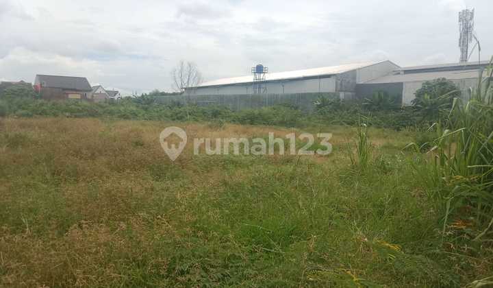 Yakin Ngga Mau Ambil? Murah 8 Bidang Tanah Dalam 1 Hamparan Daerah Kedaung Pamulang Banten