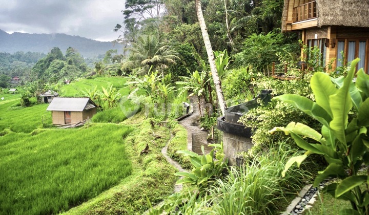 Villa di  sangkangunung  karangasem Bali 3