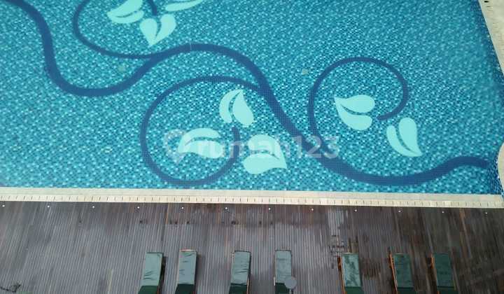 Disewakan Murah Apt. Signature Park Grande Mt Haryono Jaksel Disewakan Murah Apt. Signature Park Grande Mt Haryono Jaksel