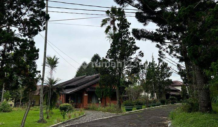 Dijual 100 an villa yg bisa dipakai buat bisnis 4