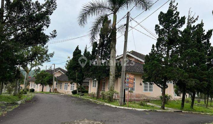 Dijual 100 an villa yg bisa dipakai buat bisnis 6