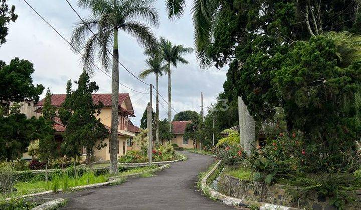Dijual 100 an villa yg bisa dipakai buat bisnis 11