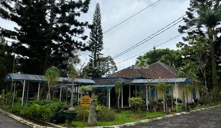Dijual 100 an villa yg bisa dipakai buat bisnis 12