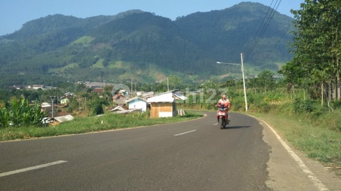 Dijual tanah di Jalan raya cijayati 60 hectare 1