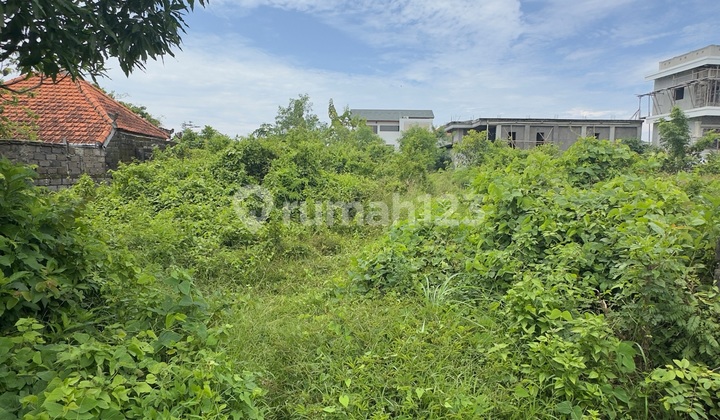 Tanah di Pecatu - Lokasi Strategis dan Investasi yang Bagus