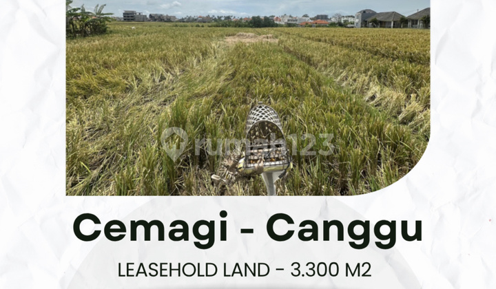 Flood-free, land, near tourist attractions, in Cemagi