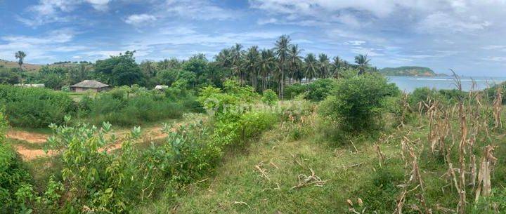 Dijual Tanah di Kawasan Pantai Dondon Lombok Tengah 2