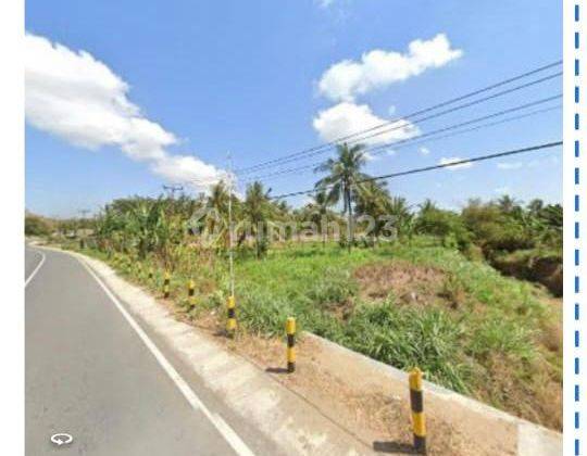 Dijual Tanah Nol Jalan Raya Sengkol Lombok 2