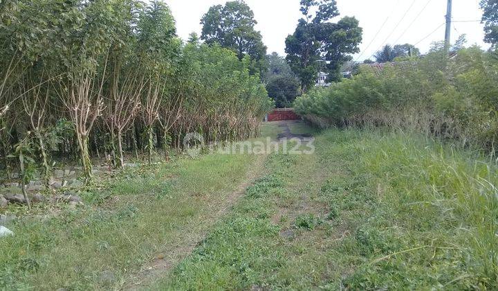 EX PABRIK KAYU LAPIS DI SUKABUMI JUAL DI BAWAH PASAR  4
