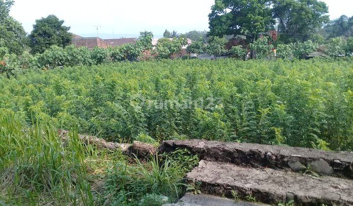 EX PABRIK KAYU LAPIS DI SUKABUMI JUAL DI BAWAH PASAR  7