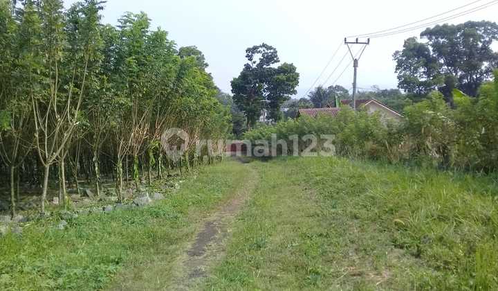 EX PABRIK KAYU LAPIS DI SUKABUMI JUAL DI BAWAH PASAR  10