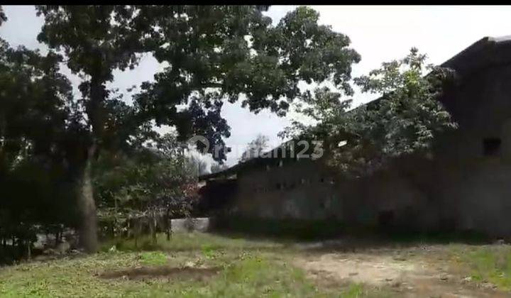 Tanah Komersial Pinggir Jalan.serang Pandeglang 2