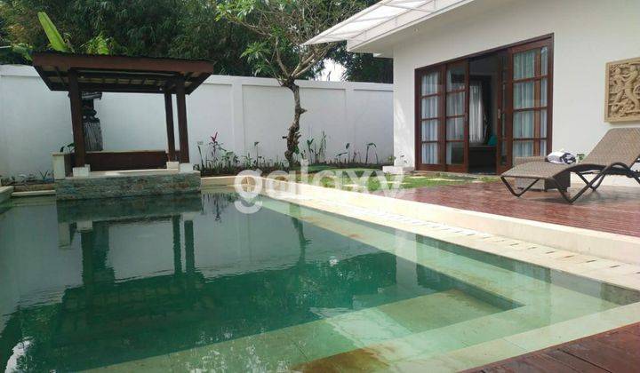 Villa in Seminyak with Private Pool and Furnished Freehold/Leasehold 2