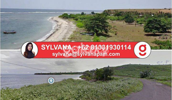 Sumbawa Beachfront Land direct Access and Surf Reef  Capital 1