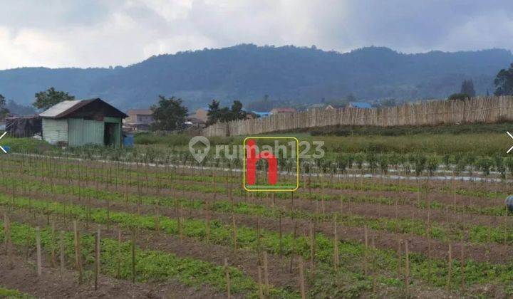 Tanah Luas Cocok Untuk Perkebunan Atau Restaurant, Lokasi Sudah Ramai, Strategis Dekat Hotel, Lokasi Karo Sumatera UtarA 1