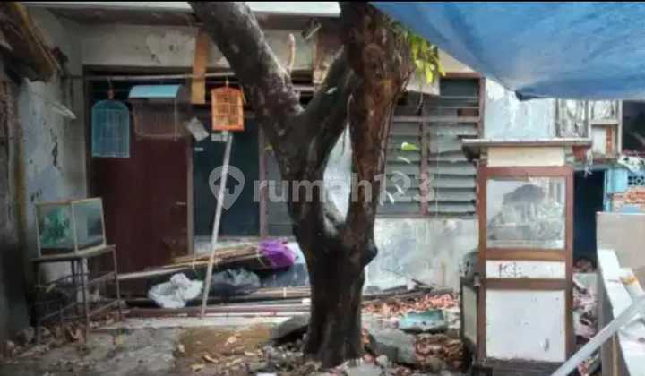 Rumah Tua Hitung Tanah Dibawah NJOP di Jakarta Pusat