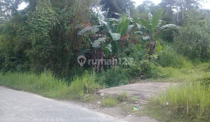 Turun Harga Hanya 350.000/Meter Tanah 3 Hektar Cocok Buat Kebun Duren Bisa Untuk 350-450 Batang Atau Tanaman Lainnya  Lokasi Di Bogor 1