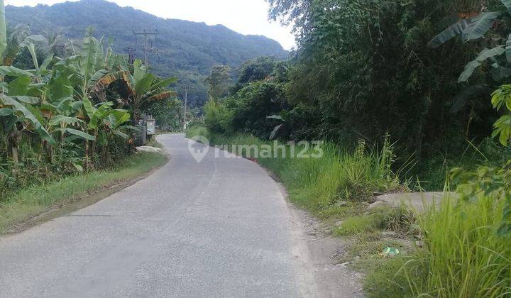 Turun Harga Hanya 350.000/Meter Tanah 3 Hektar Cocok Buat Kebun Duren Bisa Untuk 350-450 Batang Atau Tanaman Lainnya  Lokasi Di Bogor 2