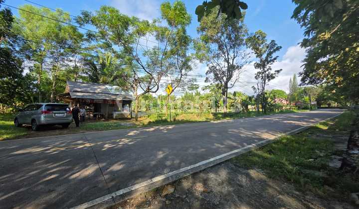 Rarely Available Prime Land Assets in Anyer Near the Beach Rarely Available Prime Land Assets in Anyer Near the Beach