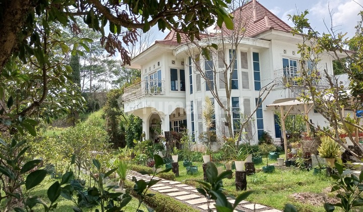 Lelang Rumah Dan Tanah Villa Di Cipanas Luas 19.808 Metee Bangunan Masih Terawat Dan Bagus Lelang Rumah Dan Tanah Villa Di Cipanas Luas 19.808 Metee Bangunan Masih Terawat Dan Bagus