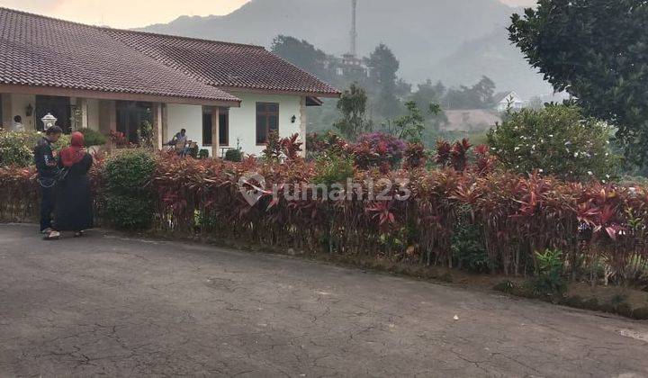 Penawaran  Terbatas Lelang Murah  Villa Coolibah Cipanas Cianjur Luas 5000 Meter Masih Aktif  1