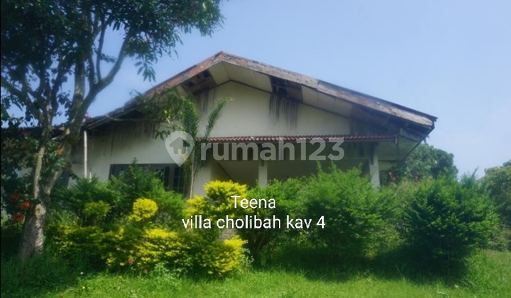 Rarely on Auction Sale: Cholibah Villa, Buy 1 Get 2 Plots